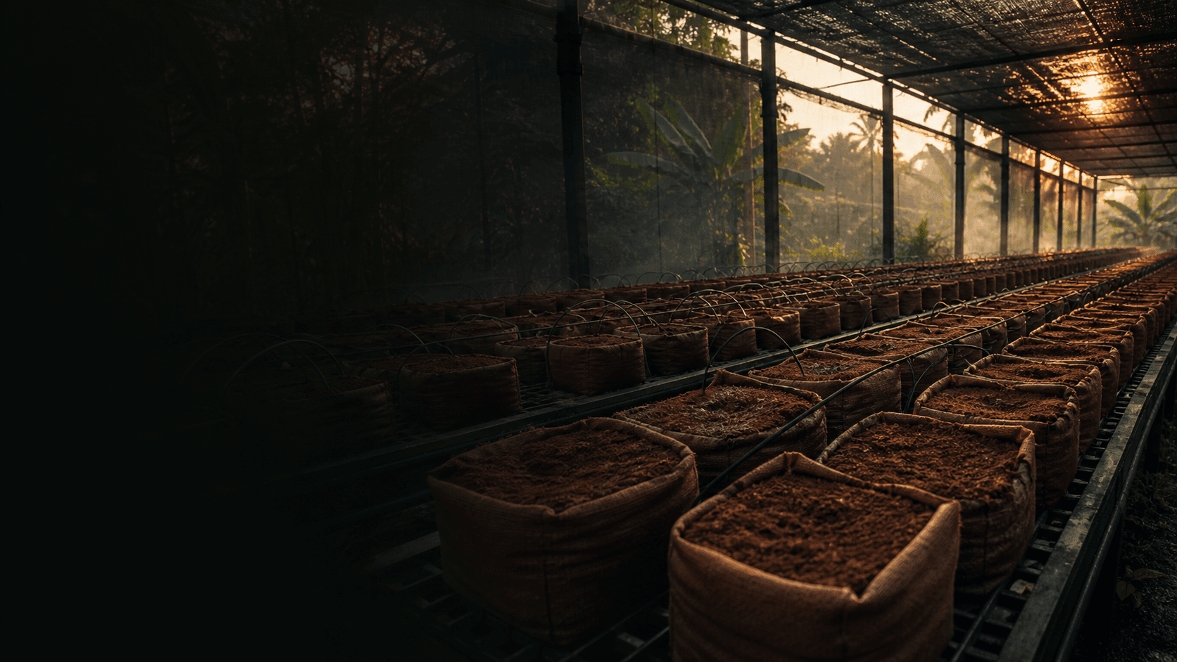 Ready-Made Cocopeat Grow Bags prepared for bulk supply at a Sri Lankan processing facility