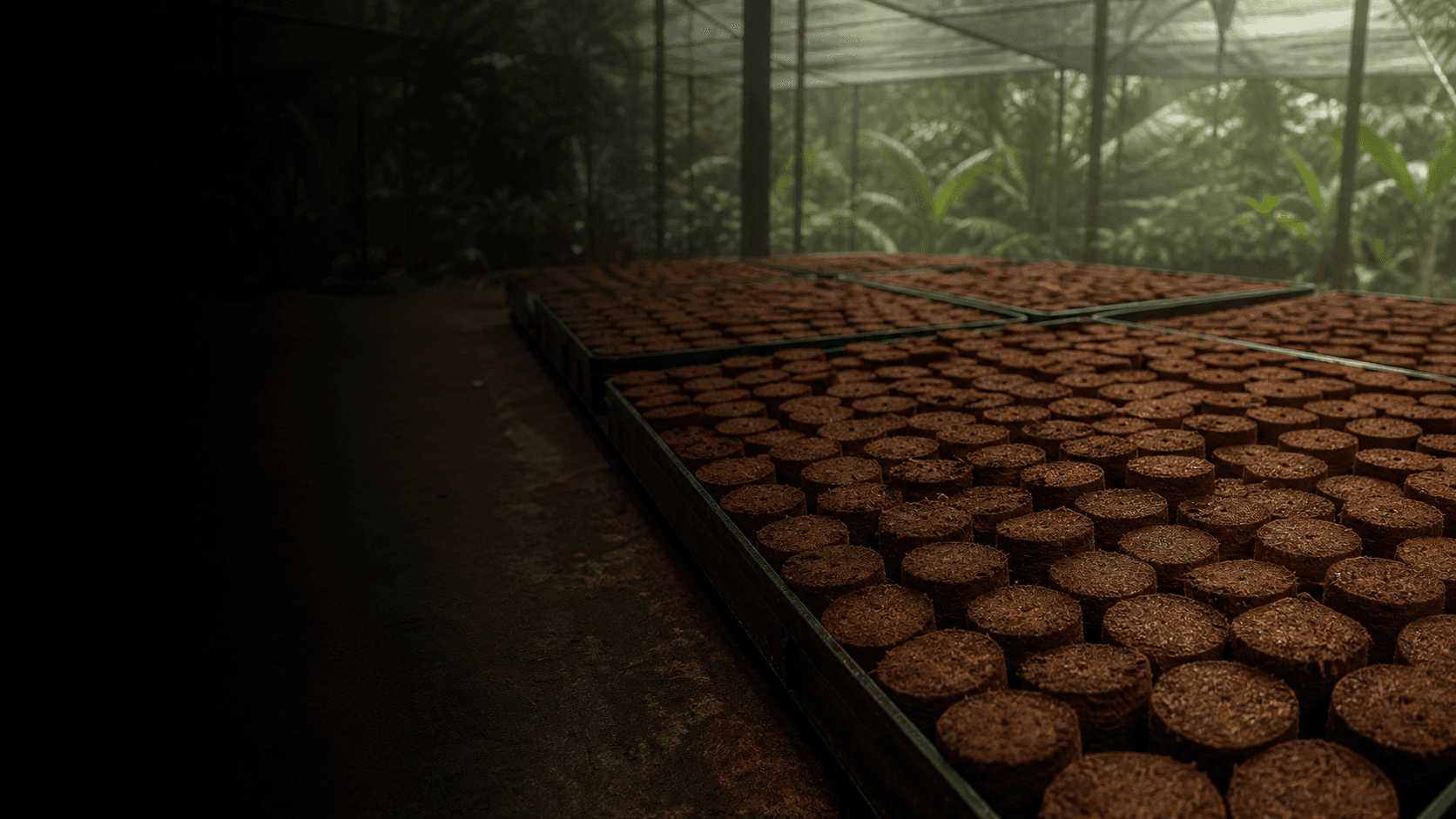 Cocopeat Growing Disks prepared for bulk supply at a Sri Lankan processing facility